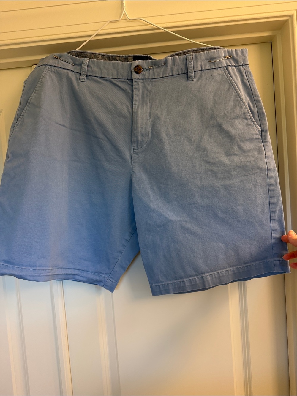 GAP Light Blue Flat-Front Cotton Shorts